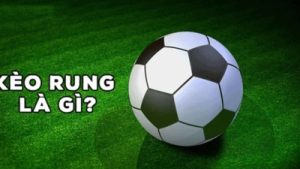 Bí quyết bắt kèo rung giúp bet thủ thắng lớn mọi trận đấu