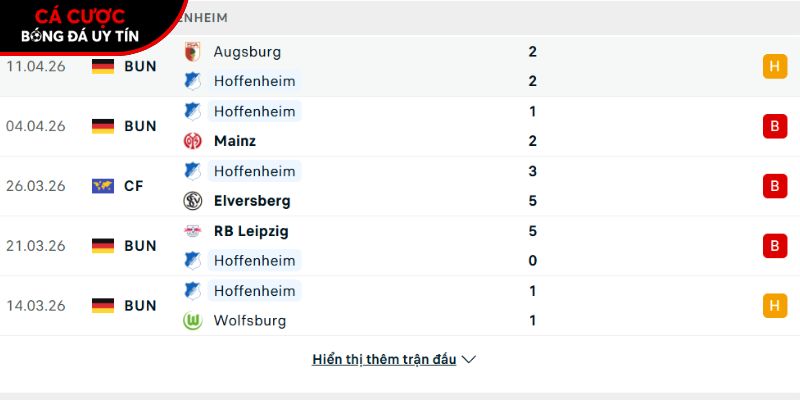 Phong độ của CLB Hoffenheim